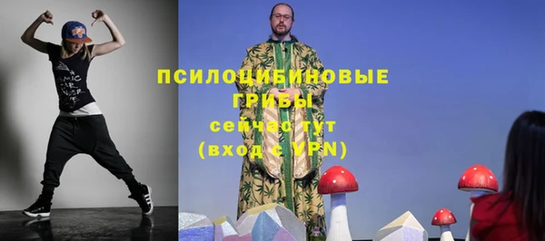 тгк Аркадак