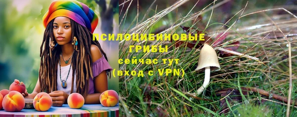 гидропоника Баксан