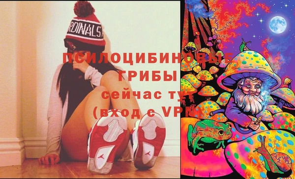 хмурый Балабаново
