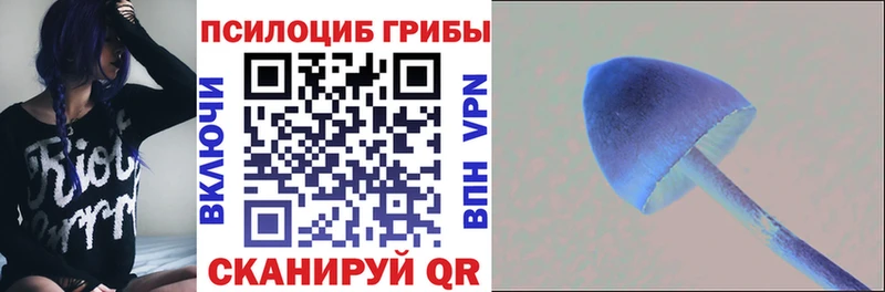 купить наркоту  Курлово  Галлюциногенные грибы MAGIC MUSHROOMS 